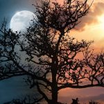 Aries Sun Scorpio Moon: What It Says About You