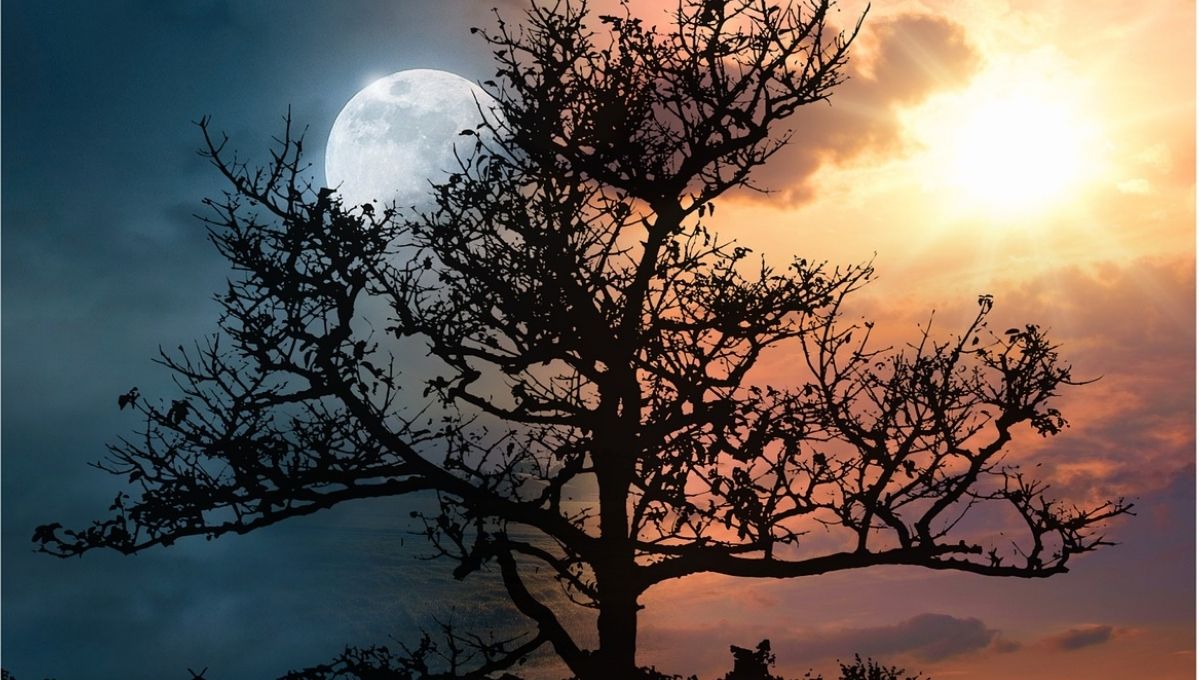 Aries Sun Scorpio Moon: What It Says About You