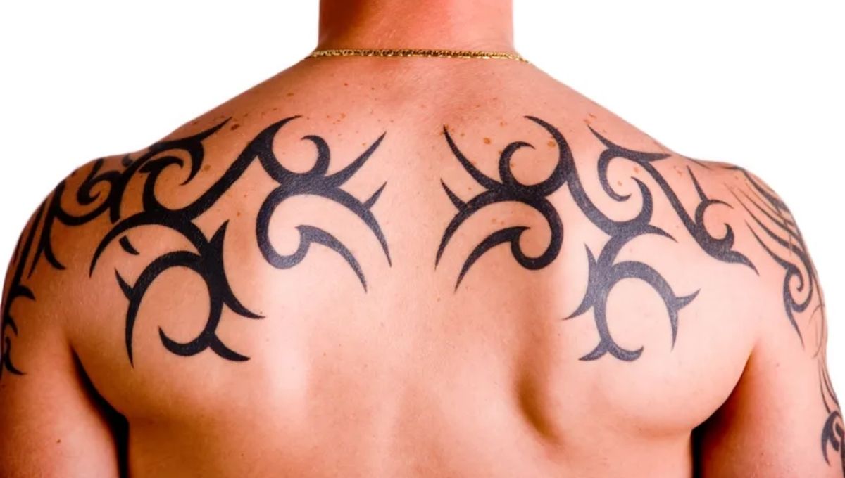 Modern Interpretations