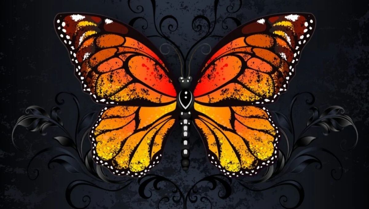 Orange Butterflies and Their Link to Creative Energy