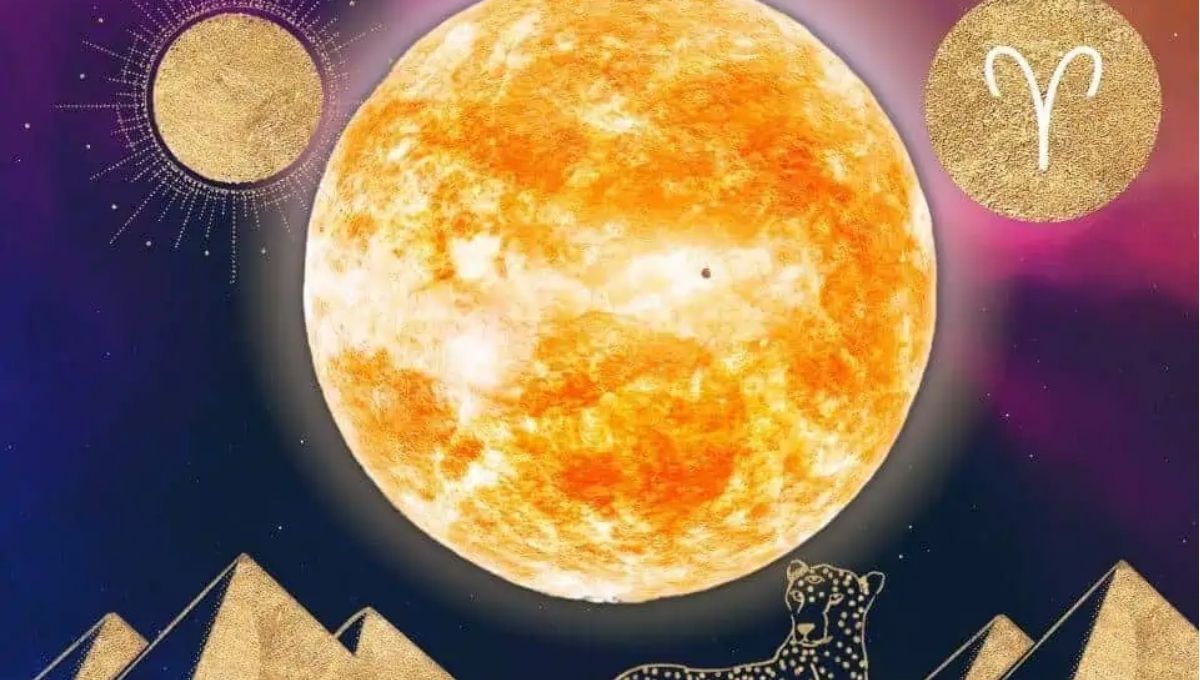 Sun in the 1st House in Astrology