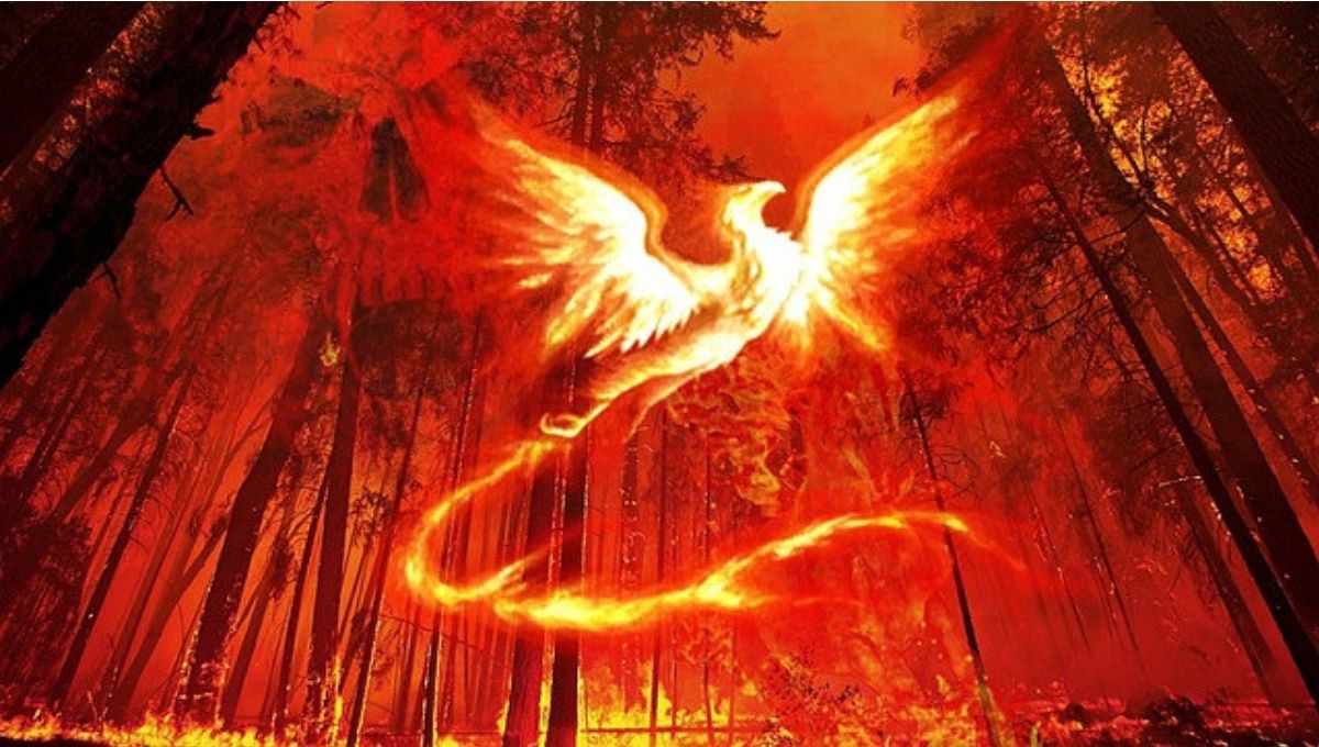 The Legend of the Phoenix: Origins and Mythology Explained