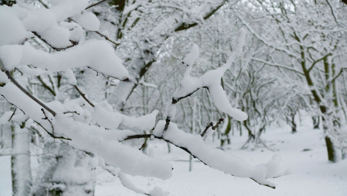 The Symbolism of Silence in Winter