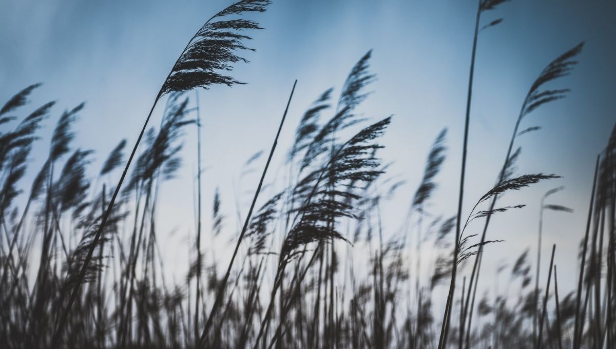 Wind Symbolism in Christianity