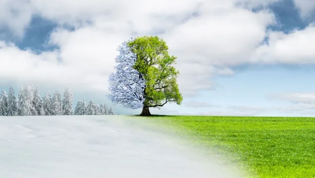 Winter as a Season of Transitions