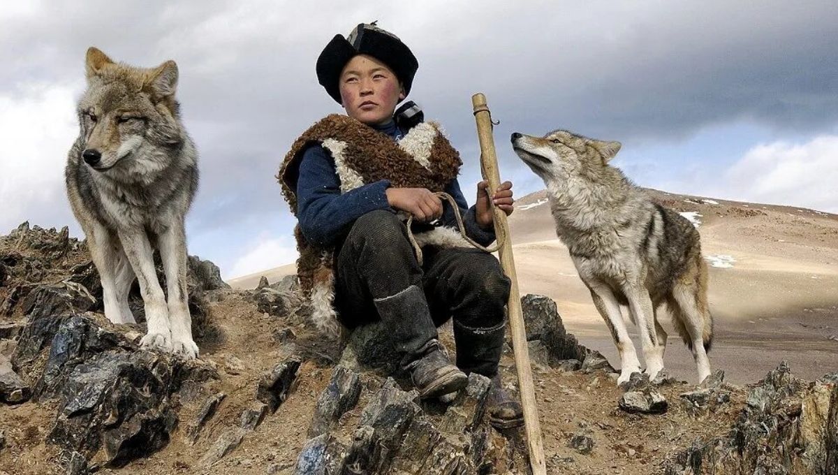 Wolf Symbolism Across Cultures and History