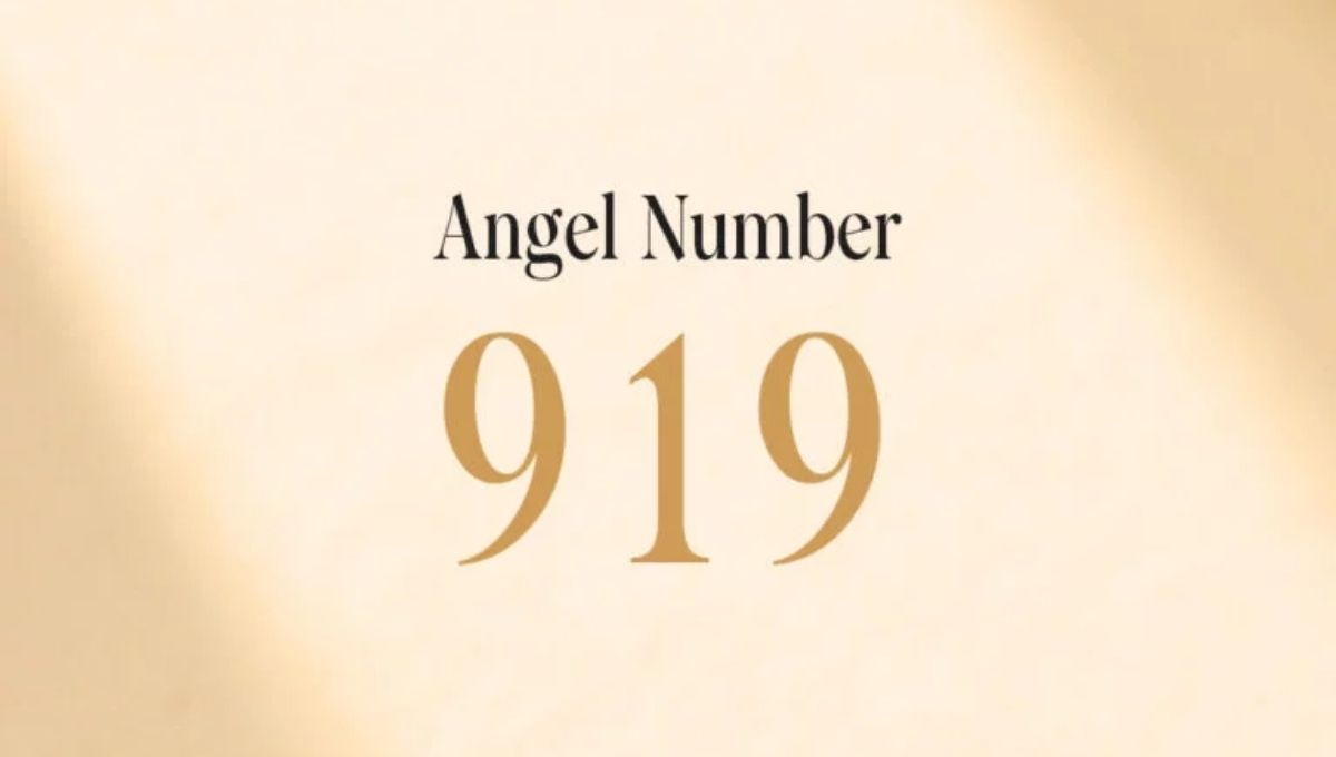 919 Angel Number and Numerology