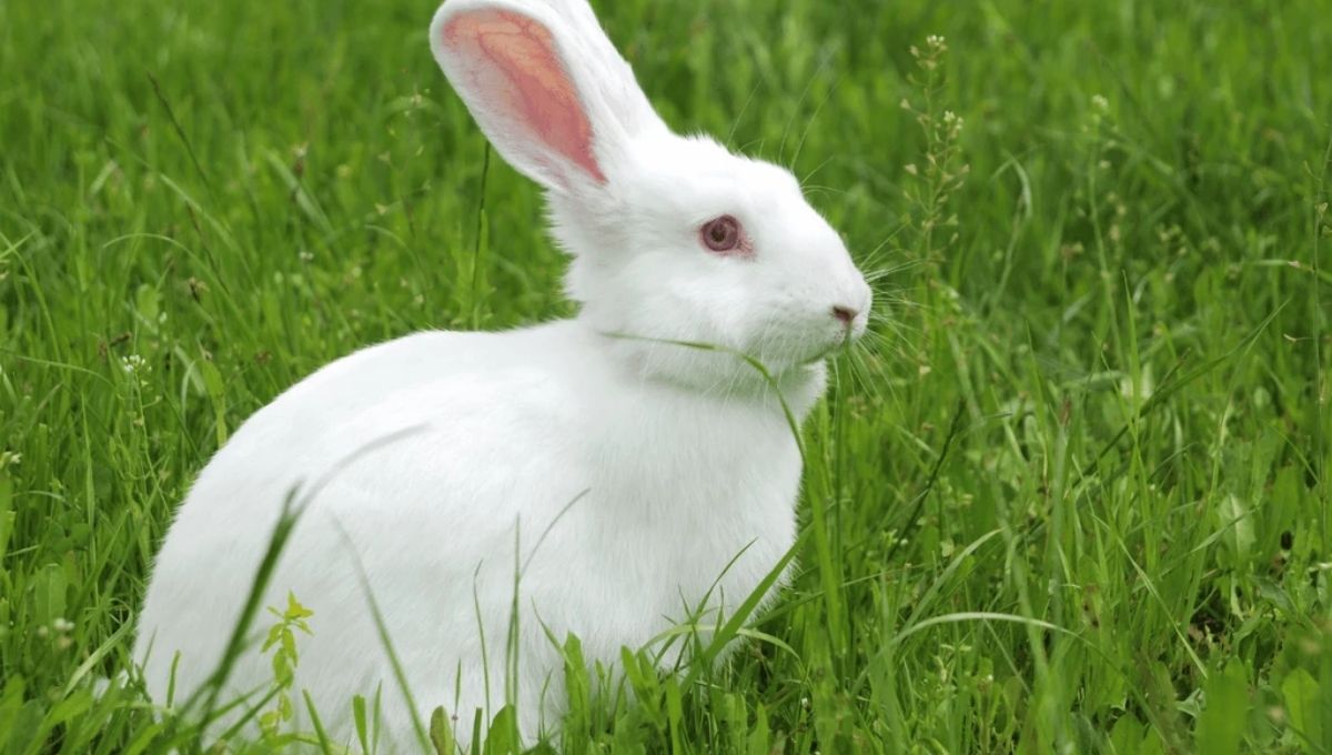 A Spiritual Push Toward Being More Flexible