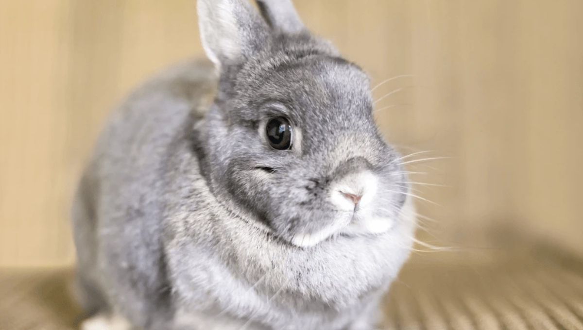 An Invitation to Balance