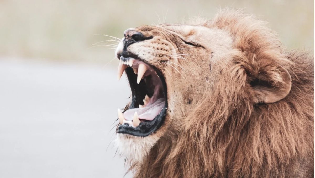 Connection to Ancestors and Higher Powers