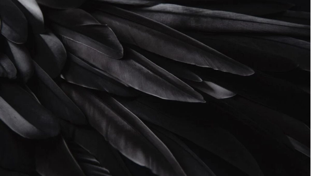 Does the Size of the Feather You Are Seeing Matter?