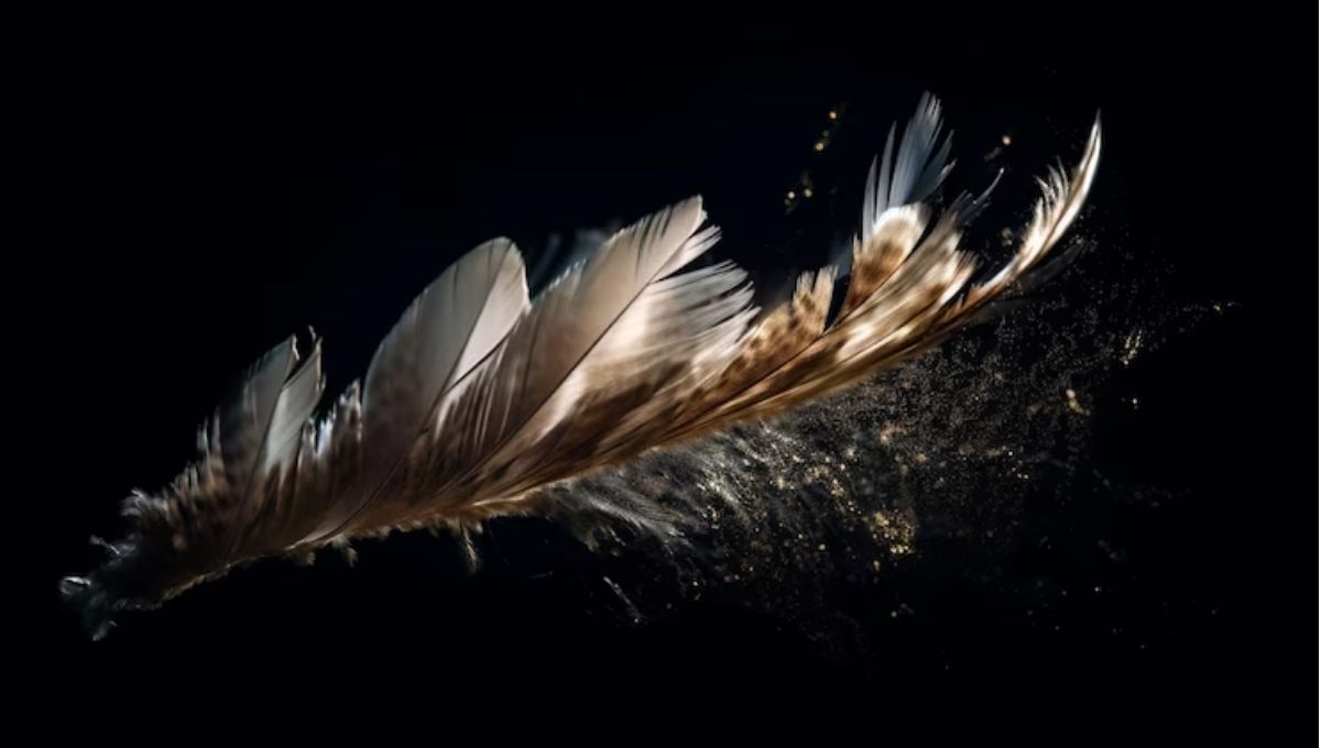 Historical and Cultural Perspectives on Black Feathers