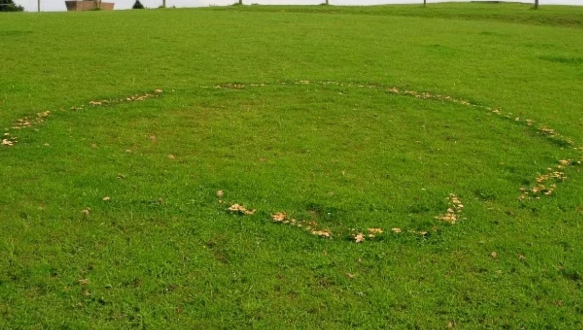 Quick Summary of Fairy Ring Symbolism