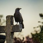 The Spiritual Meaning of 4 Crows: A Comprehensive Guide