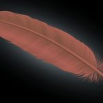 The Spiritual Meaning of Brown Feathers