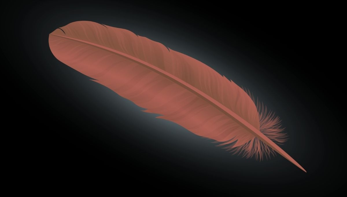 The Spiritual Meaning of Brown Feathers