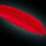 The Spiritual Meaning of a Red Feather