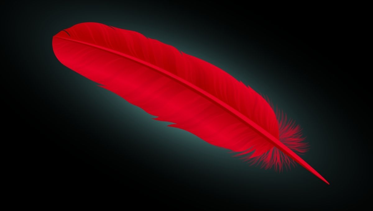 The Spiritual Meaning of a Red Feather