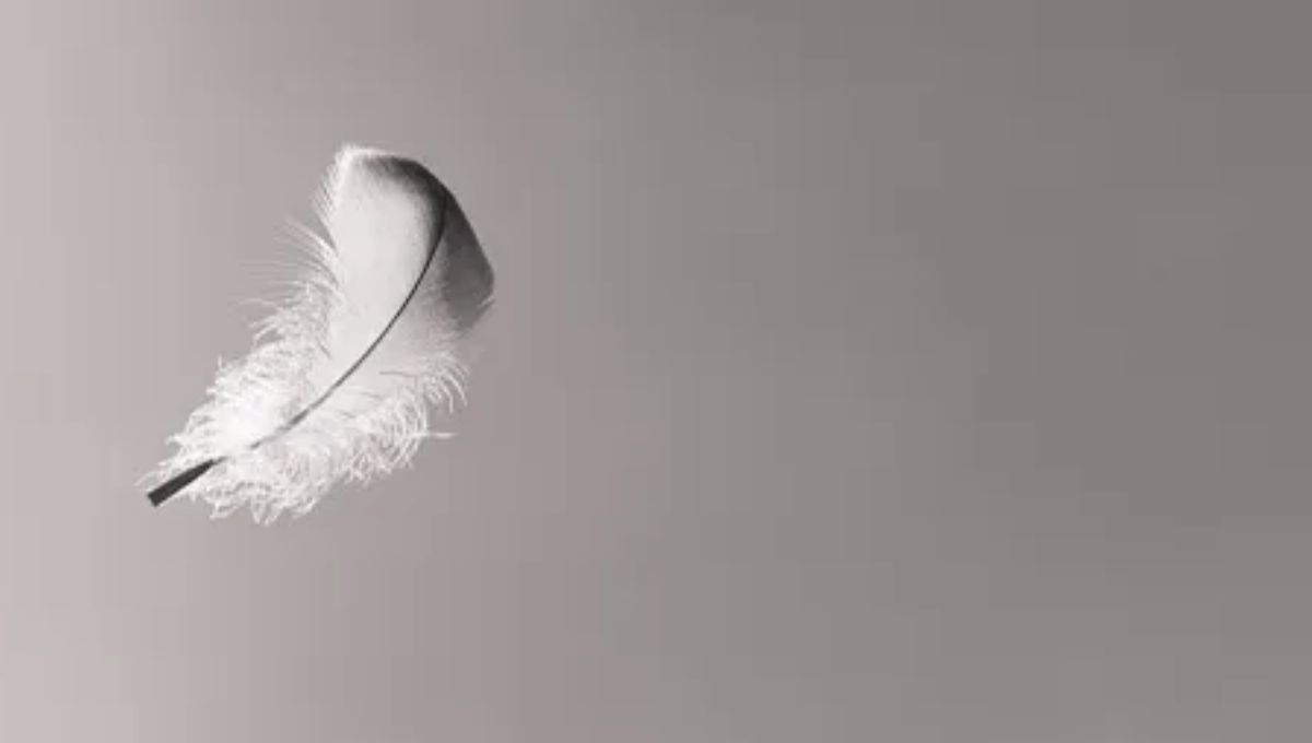 What Does a Black and White Feather Symbolize?