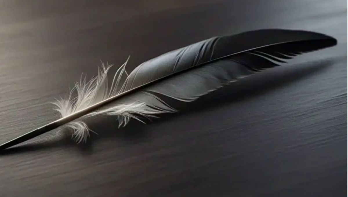What Happens When Grey and Black Feathers Appear Together?