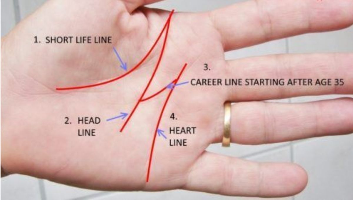 What if You Have an M Shape on Both Palms?