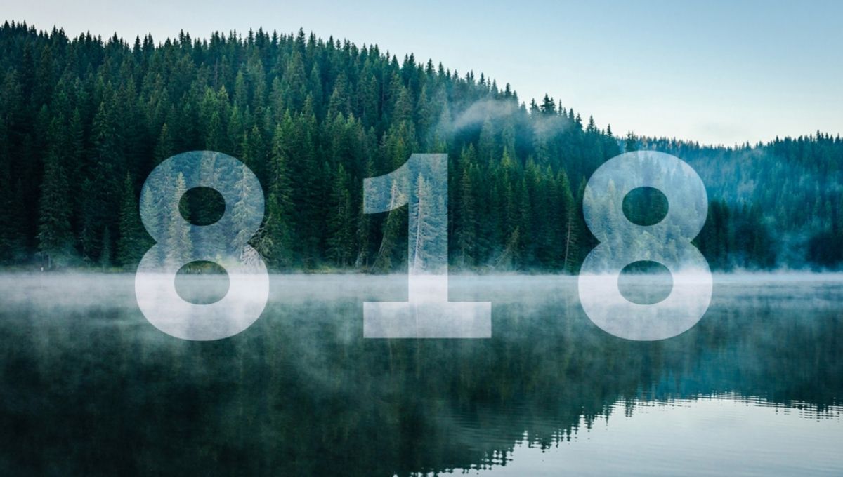 What to Do When You Keep Seeing 818