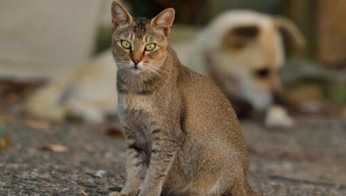 1. A Divine Message is Being Sent