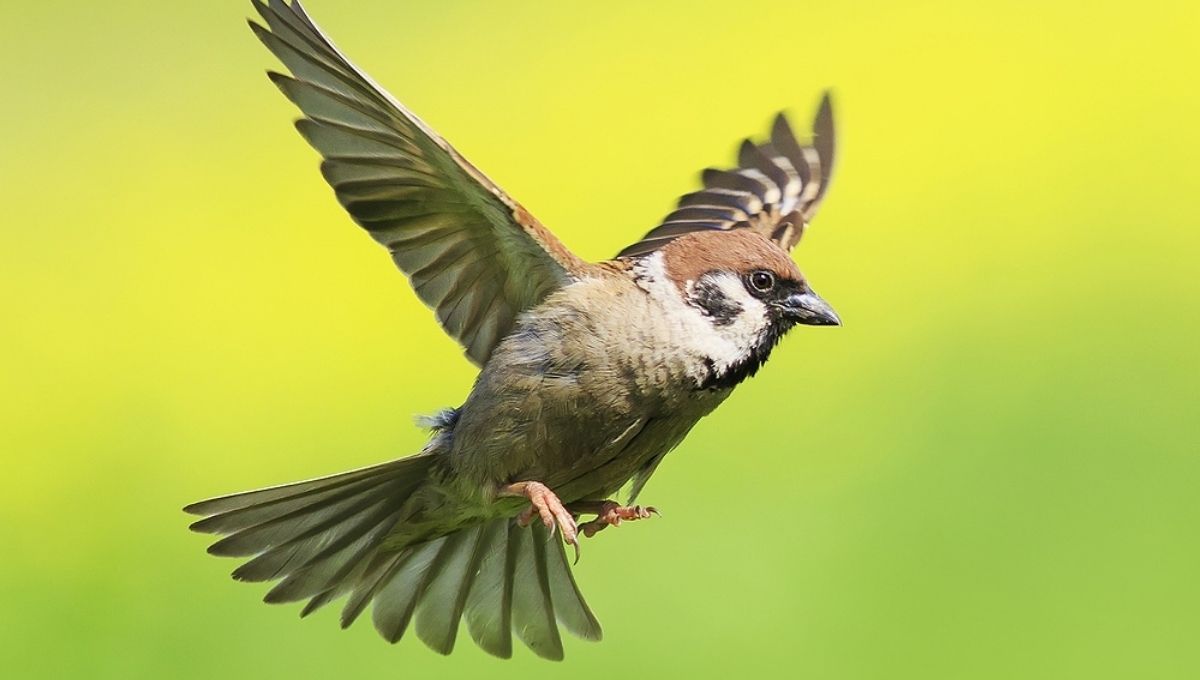 1. A Sign You're Entering a New Chapter