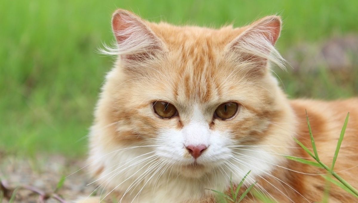 11. A Call to Embrace Change