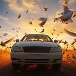 15 Spiritual Meanings of Birds Flying In Front Of Your Car While Driving
