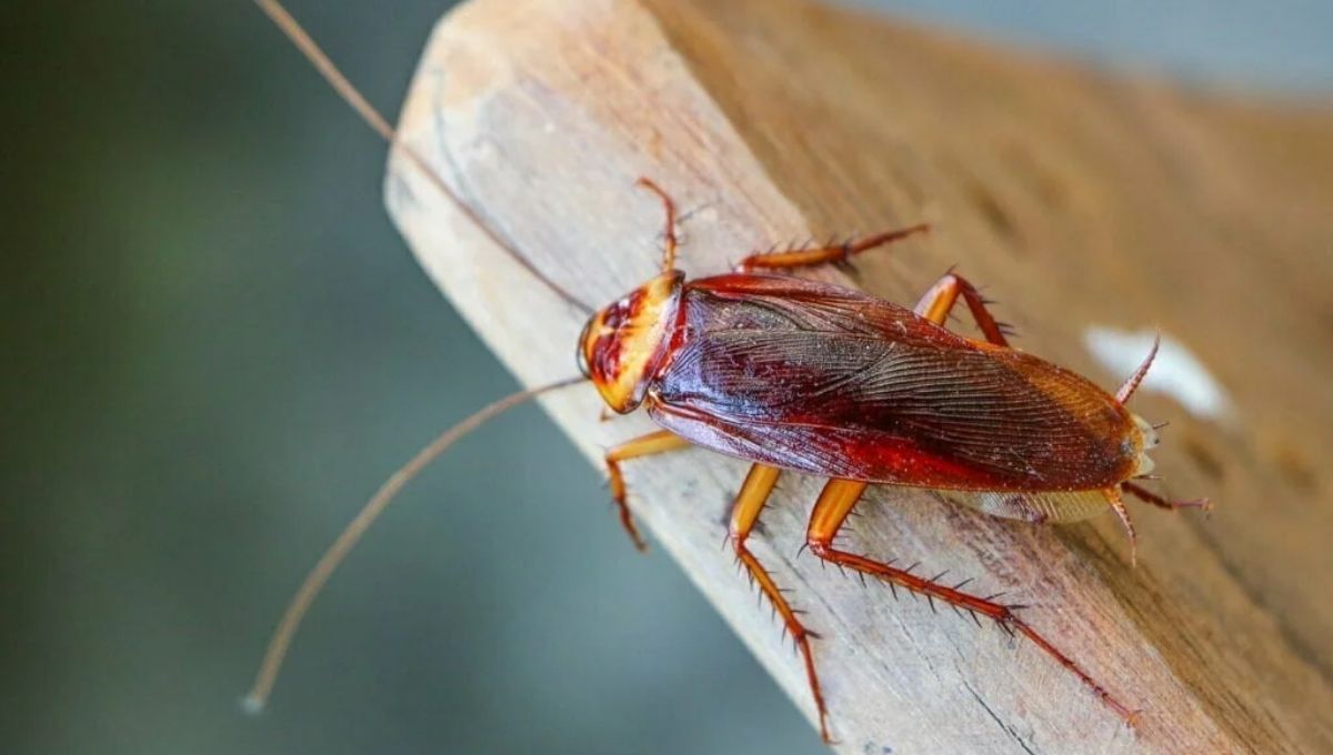 A Sign to Focus on Positivity and Hope