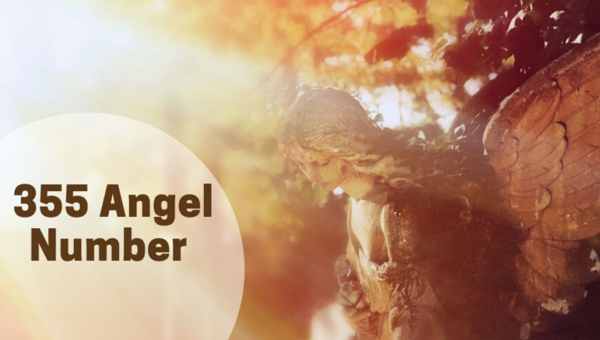 Embracing Guidance from Angel Number 355