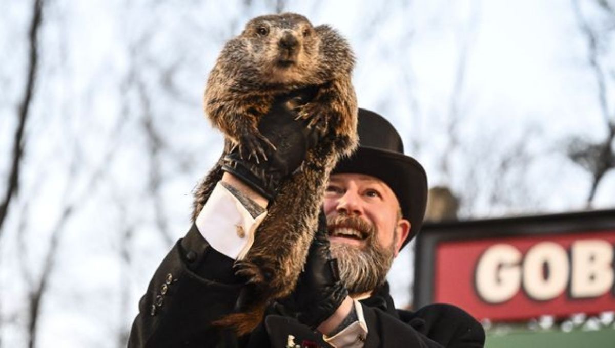 Groundhog Symbolism in Different Cultures and Traditions