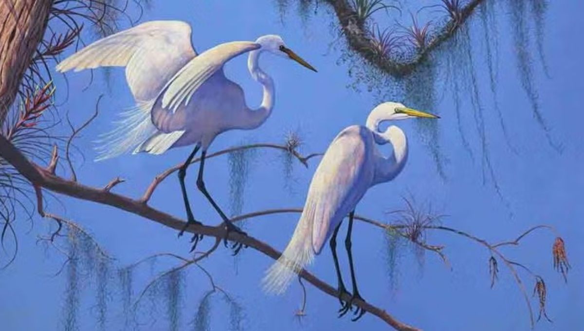 How Artists Use Egret Symbolism in Paintings and Design