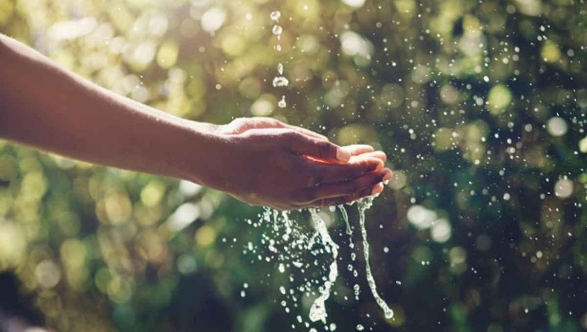 How Water Teaches Nurturing