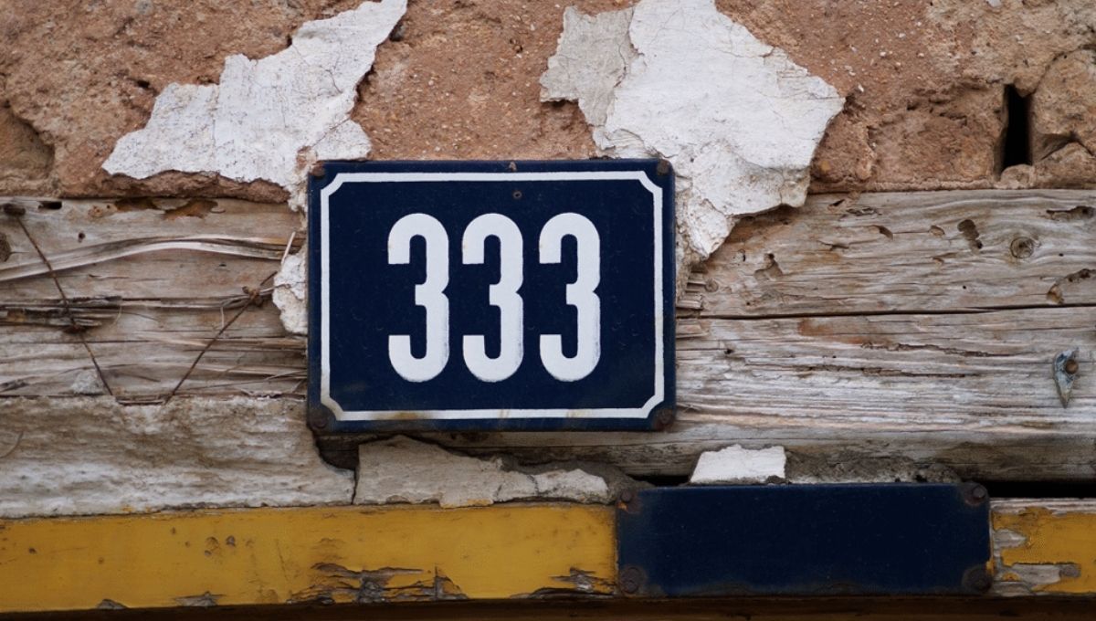 Interpretations and Perspectives on 333