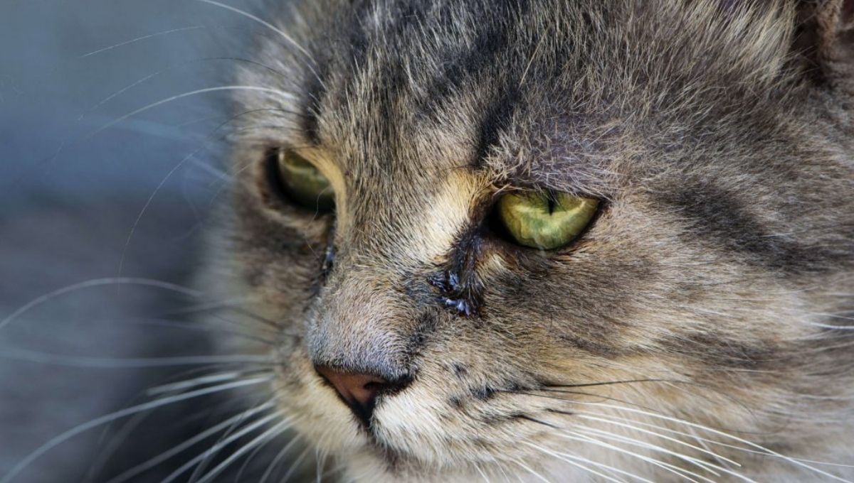 Respecting Boundaries and Personal Space