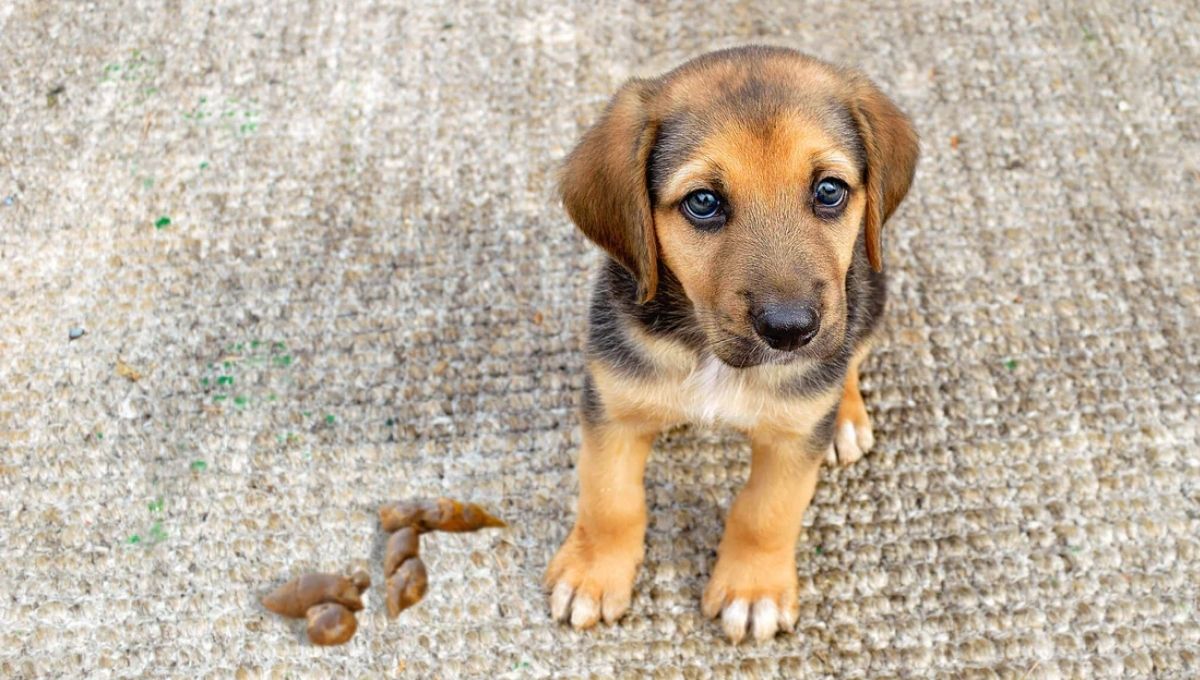 Science vs Spiritual Views