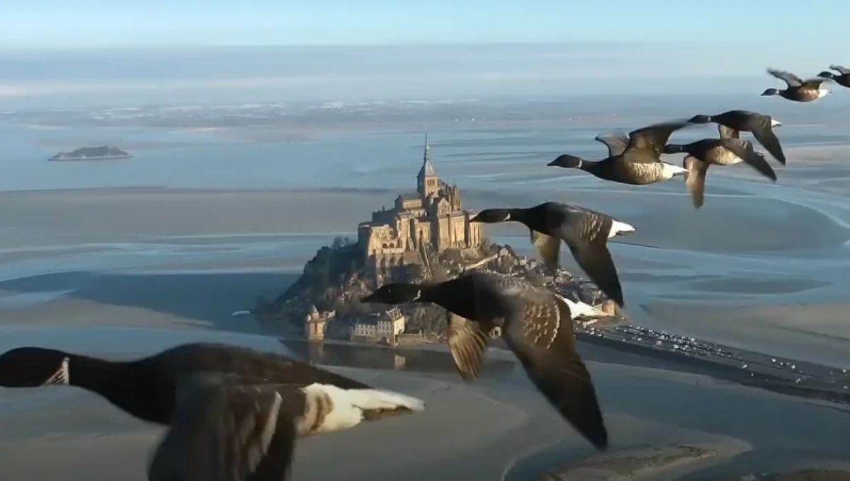 Spiritual Interpretations