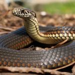 Unlocking the Mysteries of Snake Dreams: A Biblical Perspective