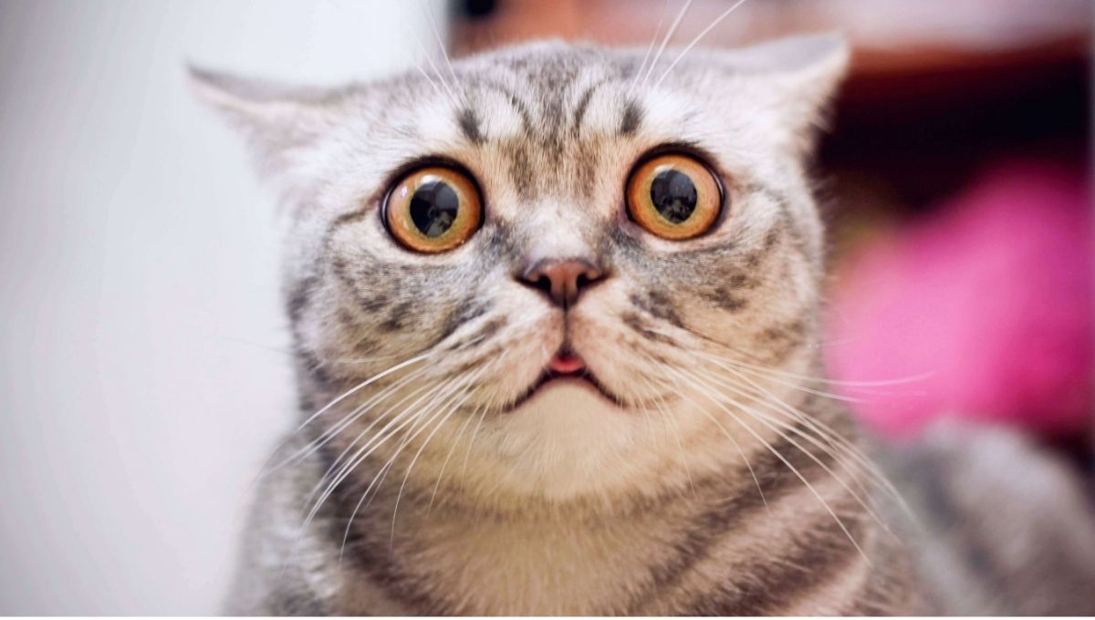 When You Need Protection