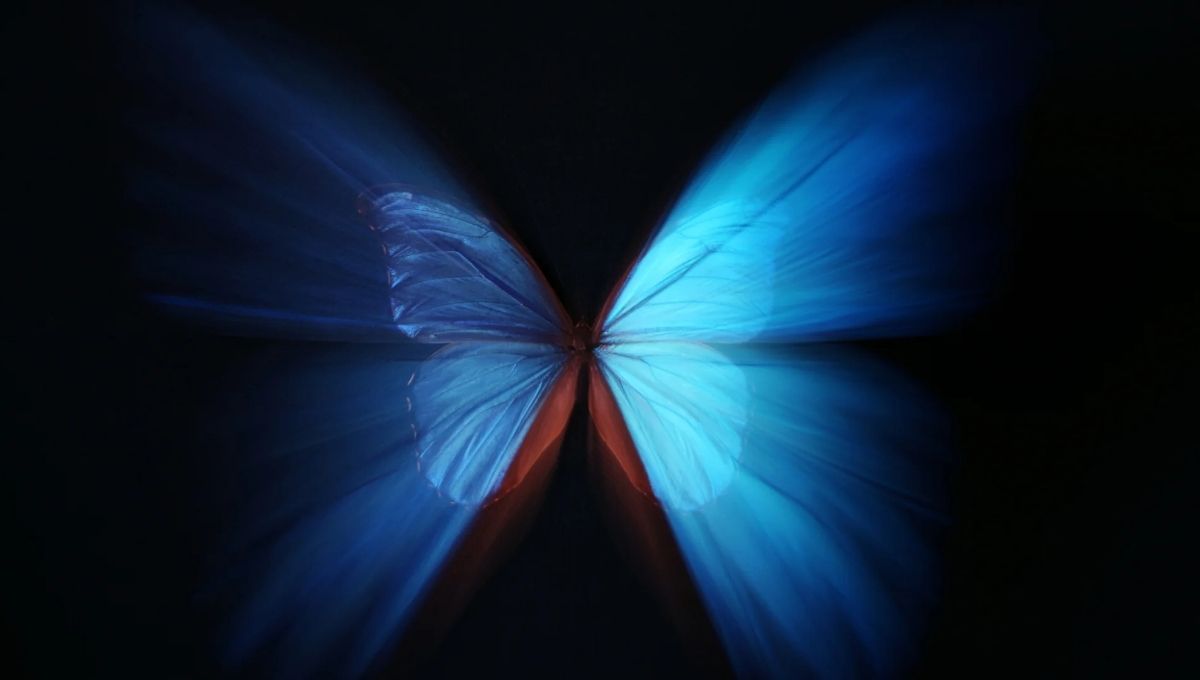 Butterflies & Chaos Theory Explained
