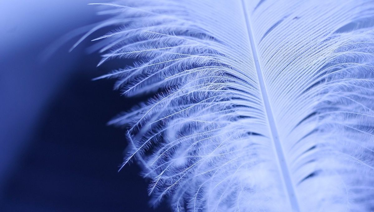Common Spiritual Symbols Linked to Feathers