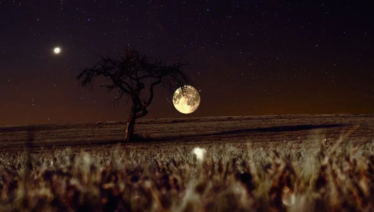 Cultural and Historical Views of the Moon’s Meaning