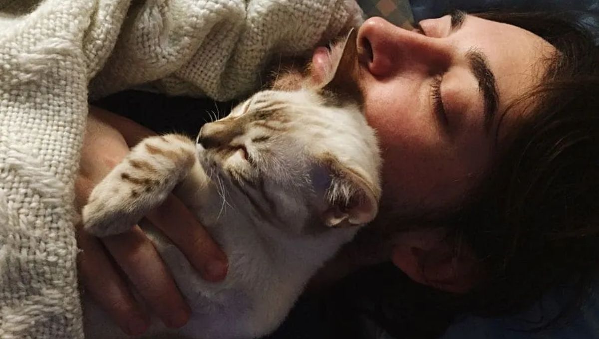 Cultural and Historical Views