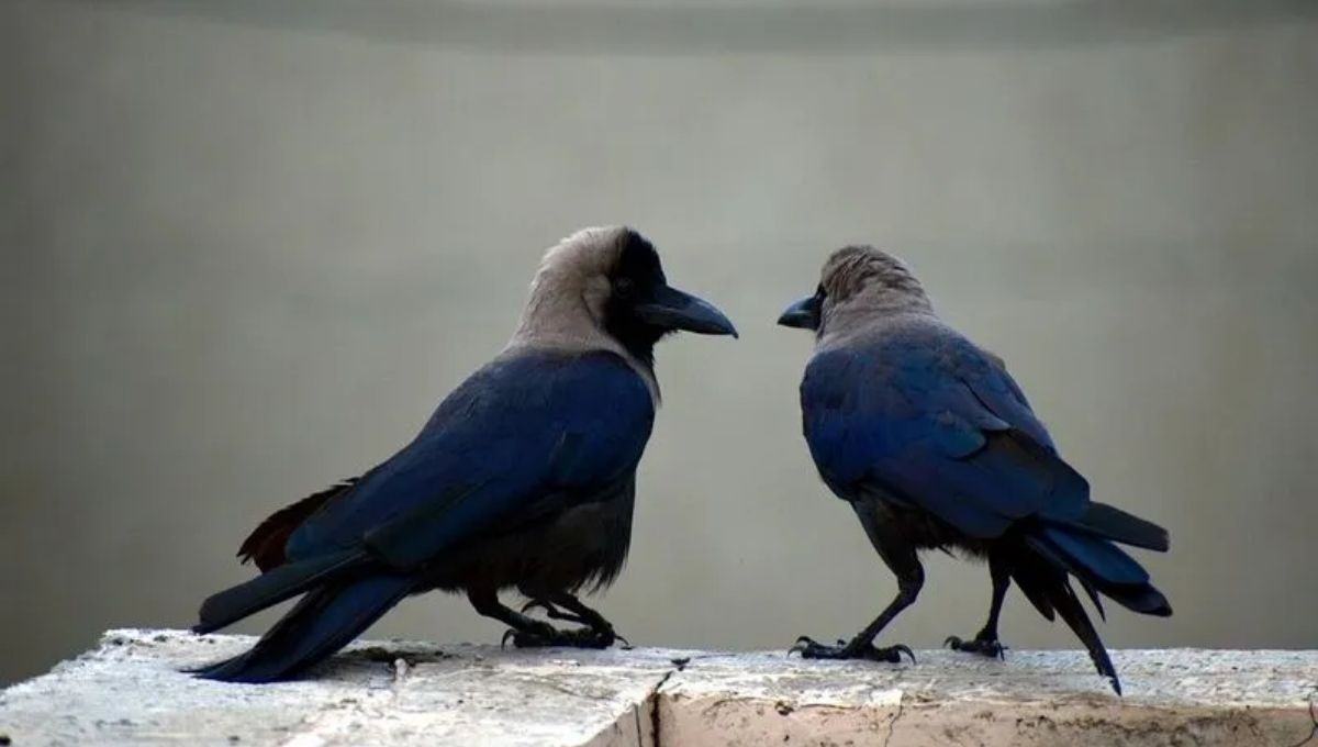 Guidance and Protection from Unseen Realms