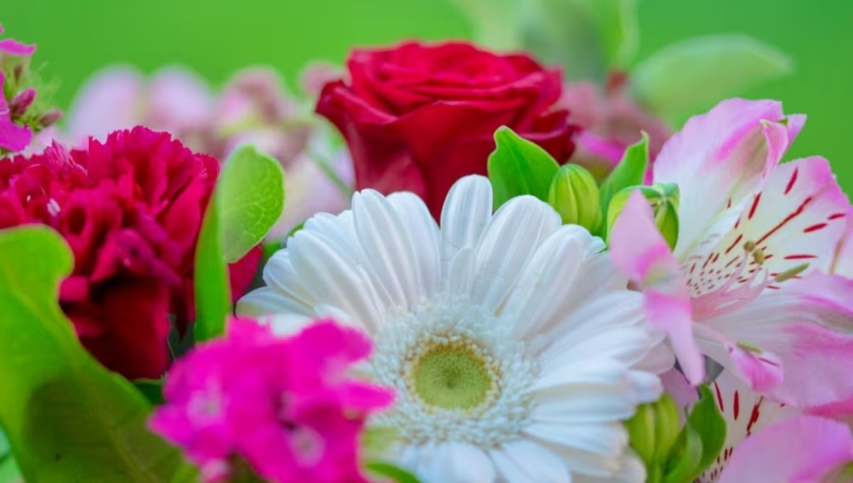 Heartfelt Tuesday Blessings for Family and Friends