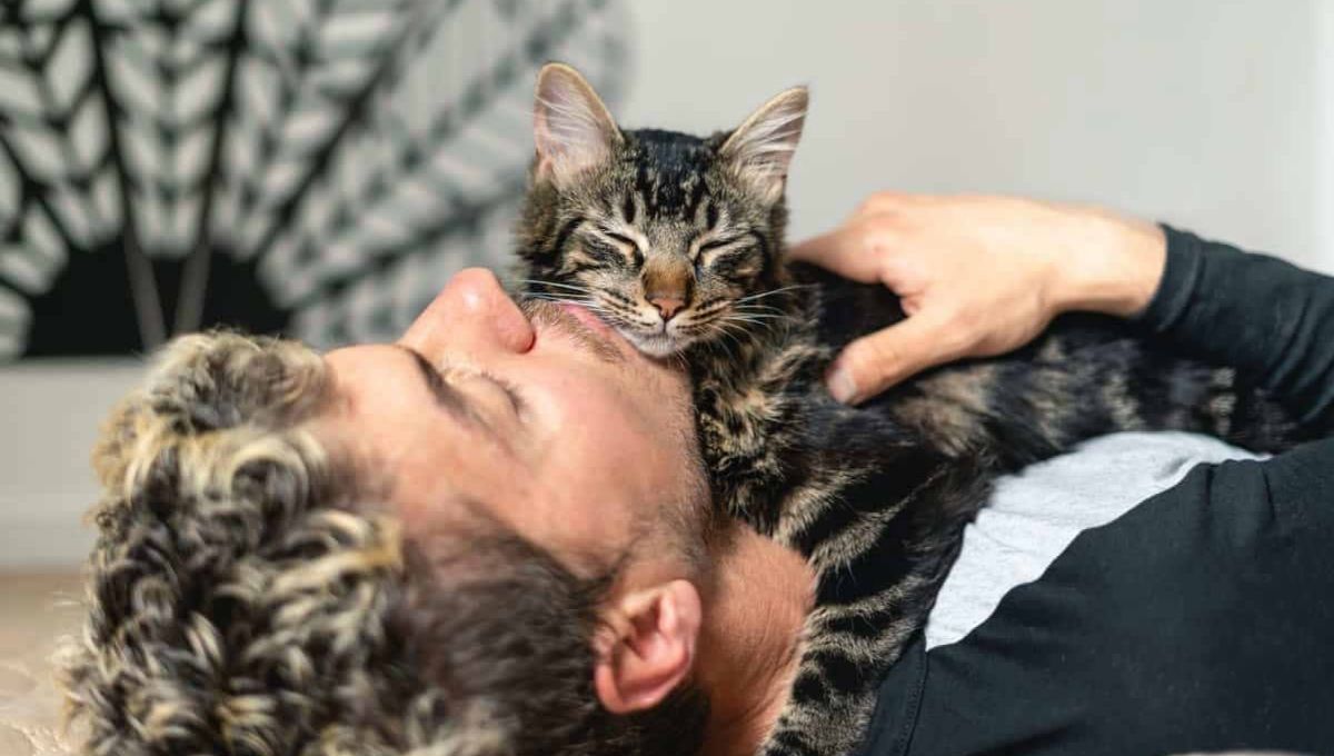 Practical Tips When Your Cat Sleeps on Your Chest