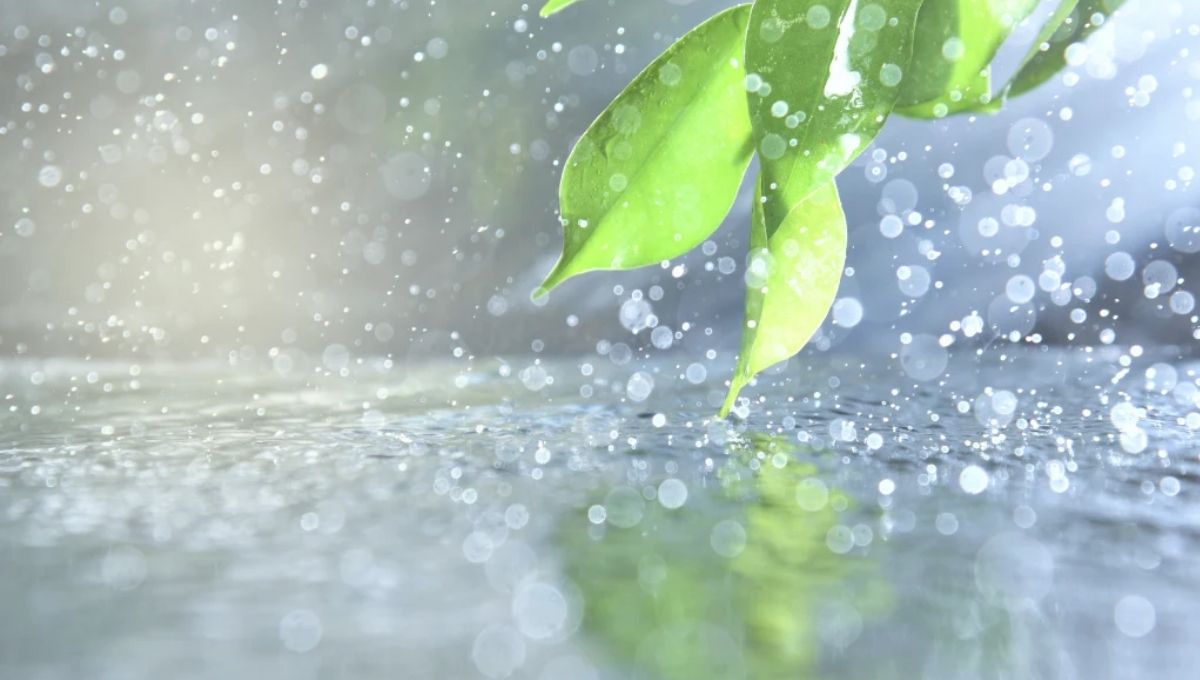 Rain Dances and Rituals Around the World