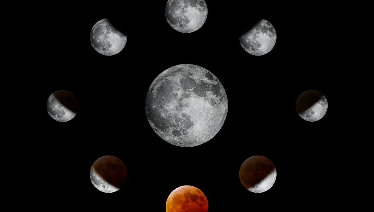 White Moon Cycle: New Moon and Fertility